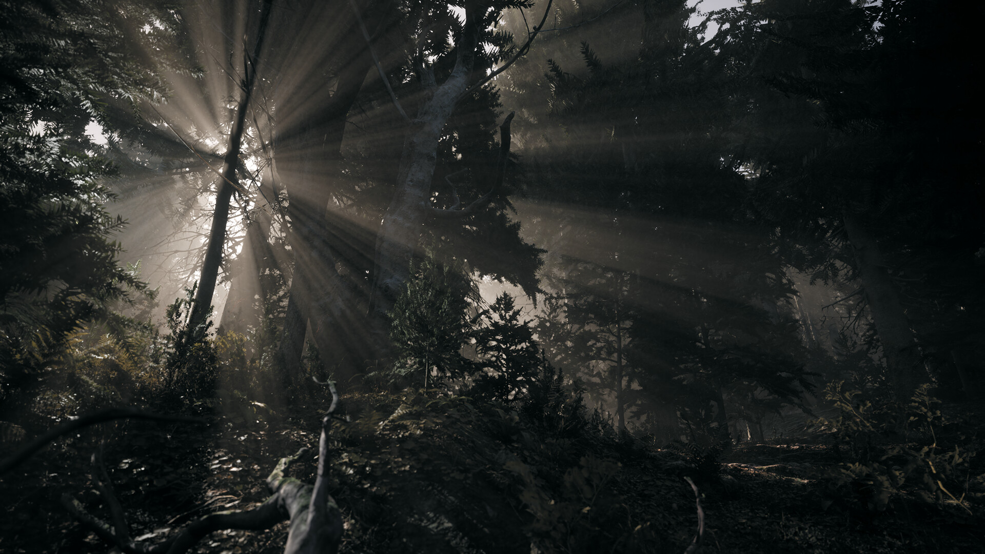 Nature of Dread