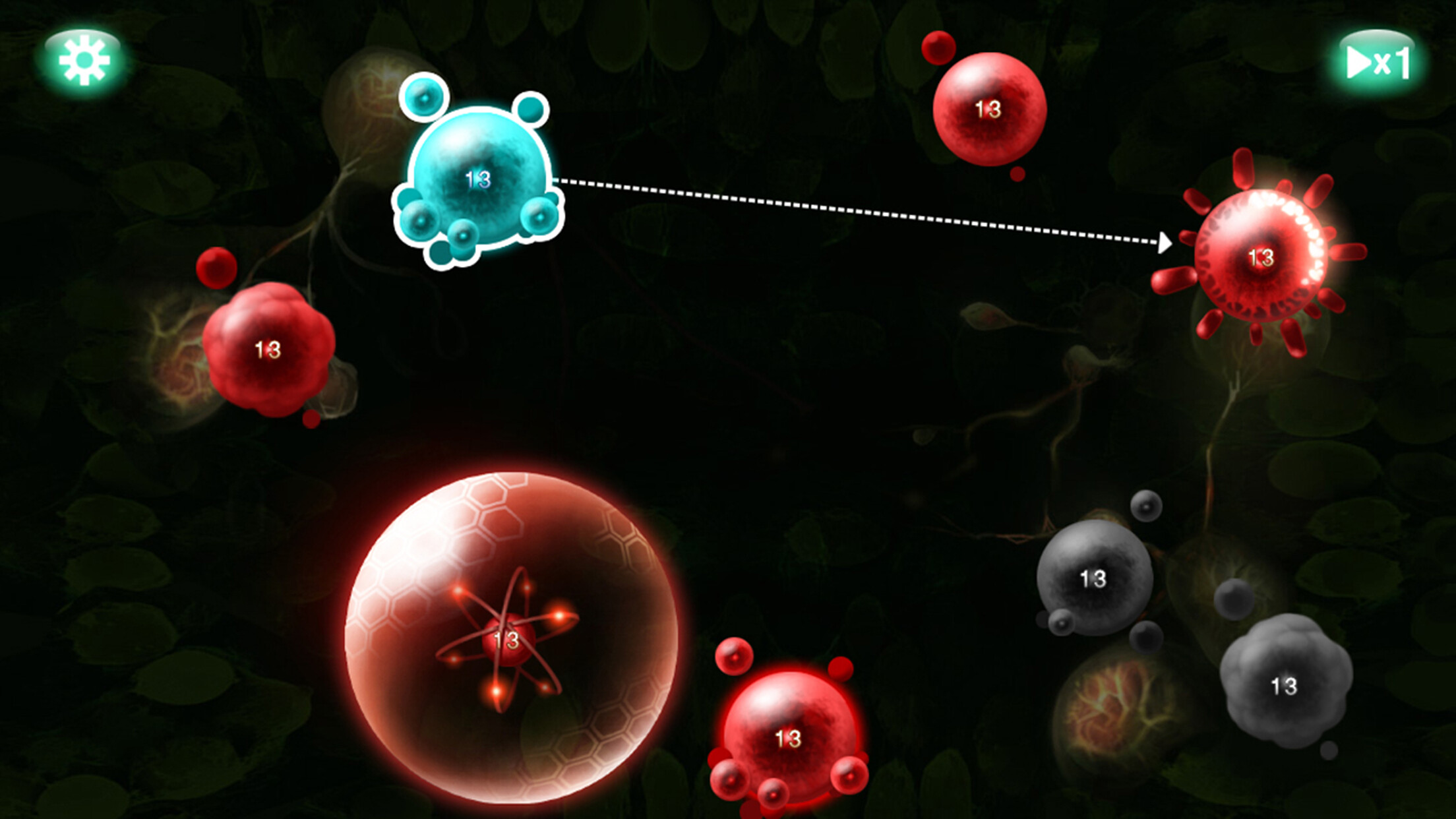 War of Reproduction: Evolution
