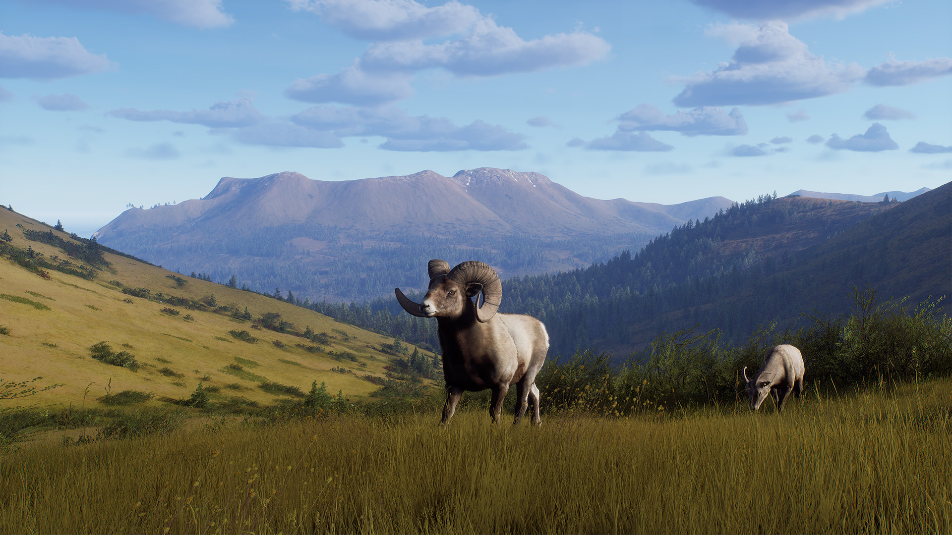 Way of the Hunter: Elkcrest Island