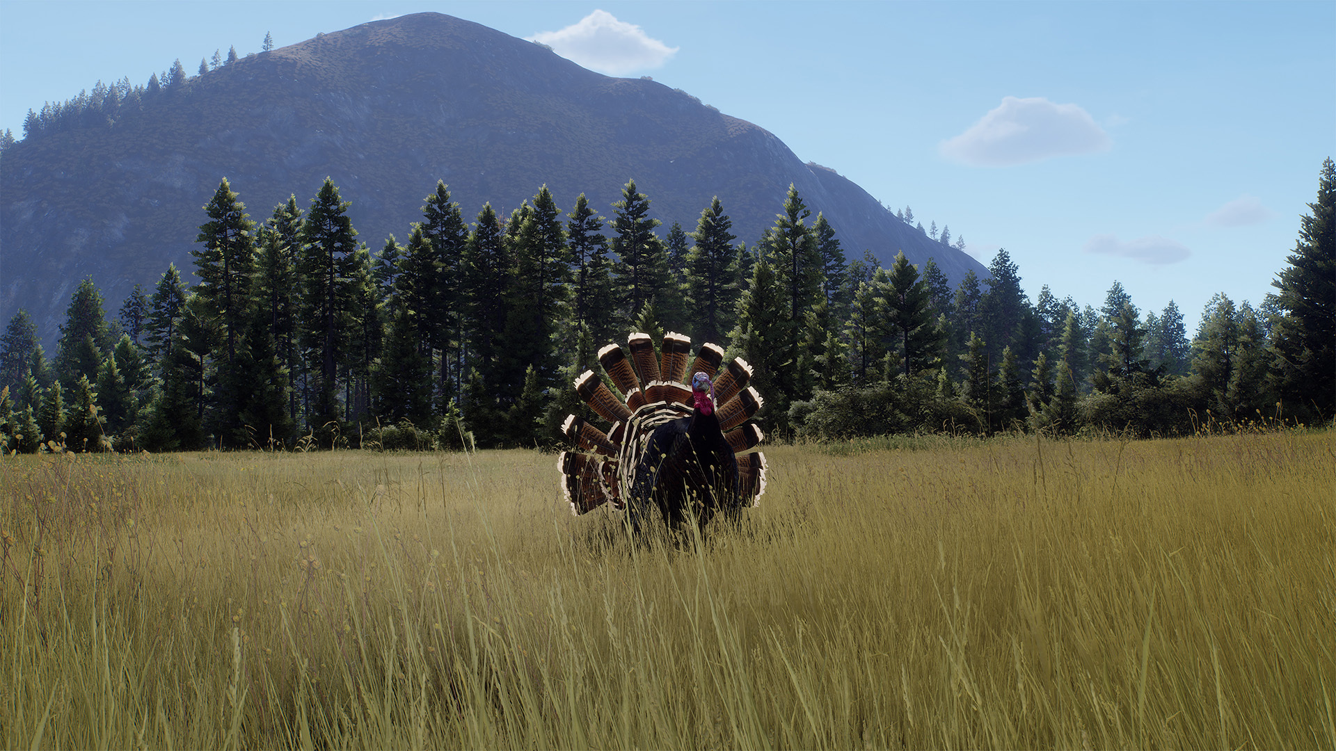 Way of the Hunter: Elkcrest Island