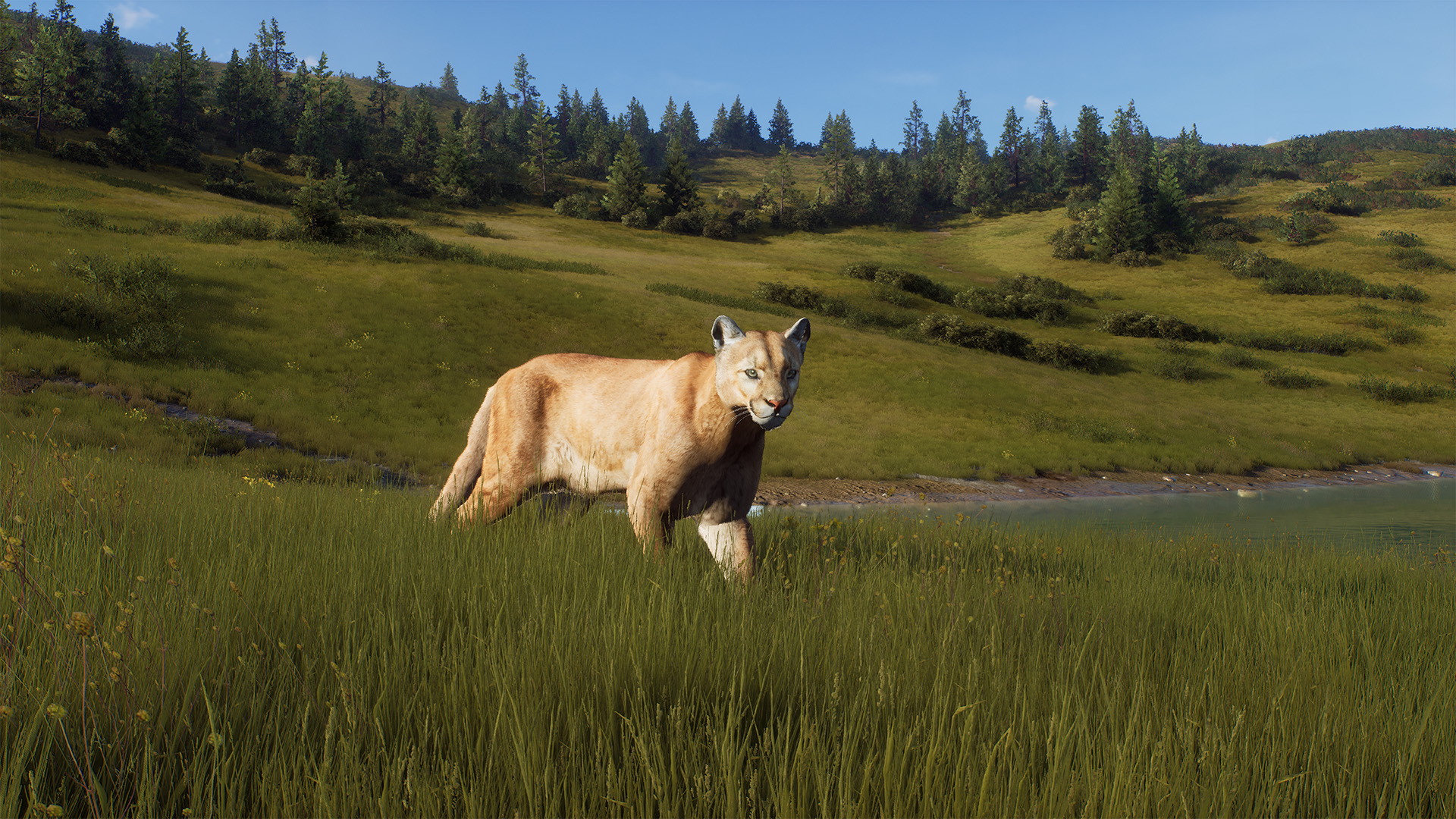 Way of the Hunter: Elkcrest Island
