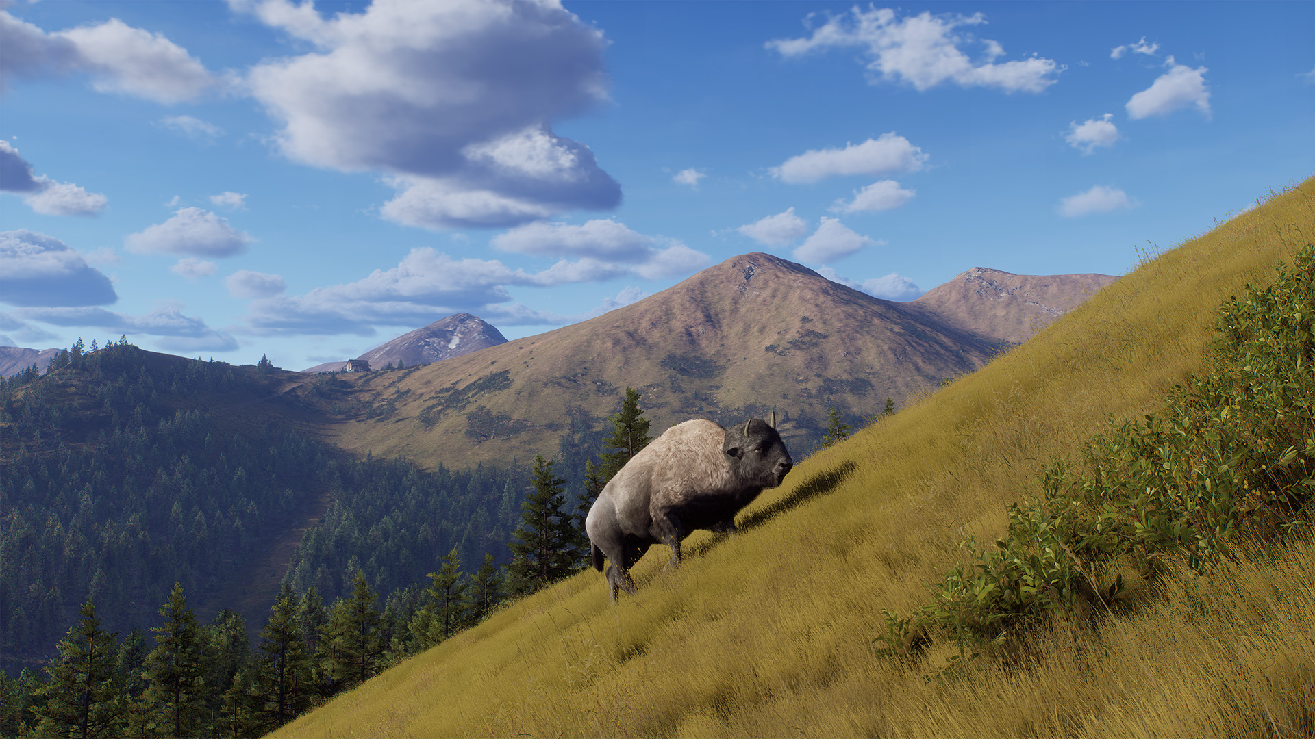 Way of the Hunter: Elkcrest Island
