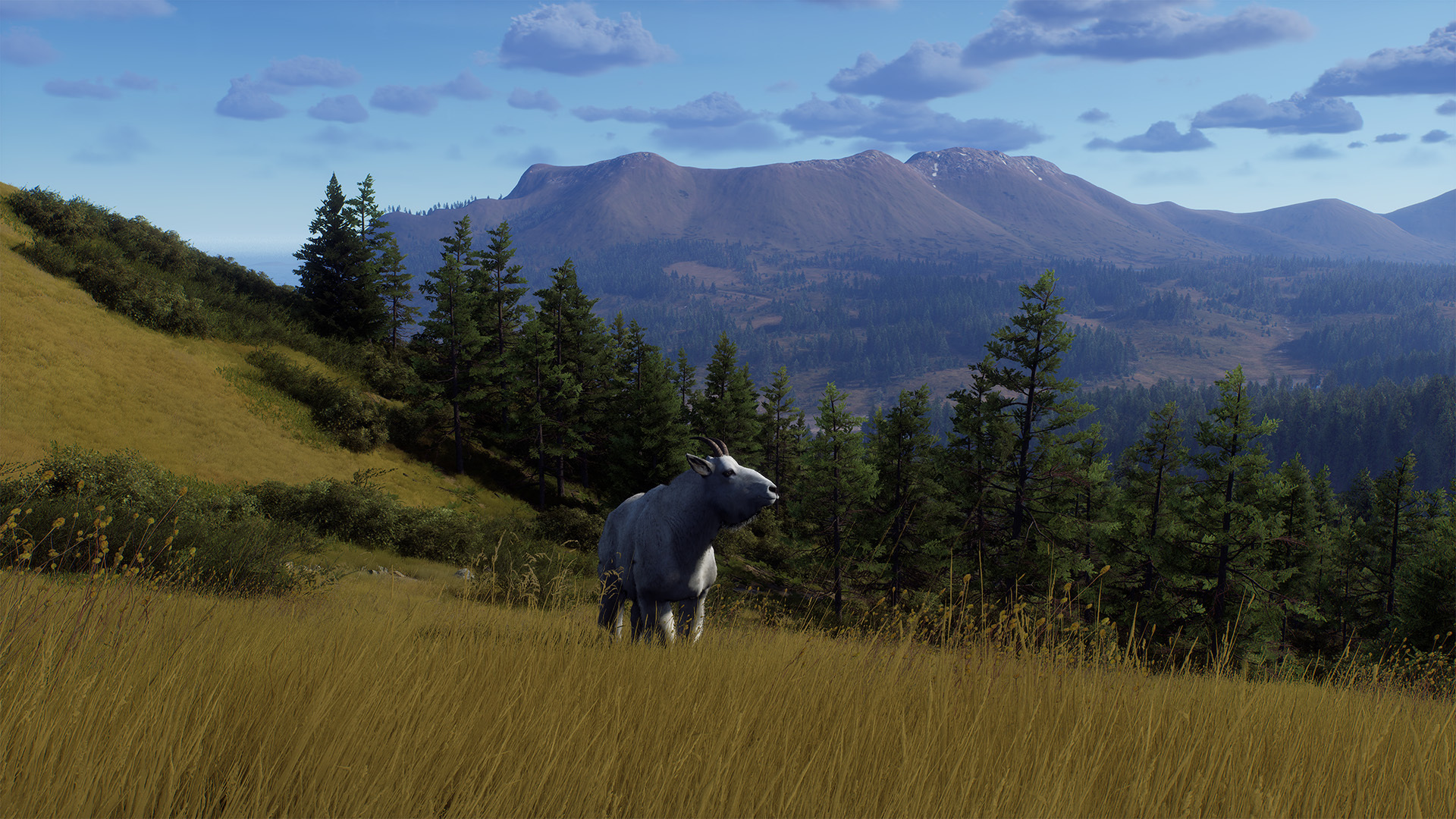 Way of the Hunter: Elkcrest Island