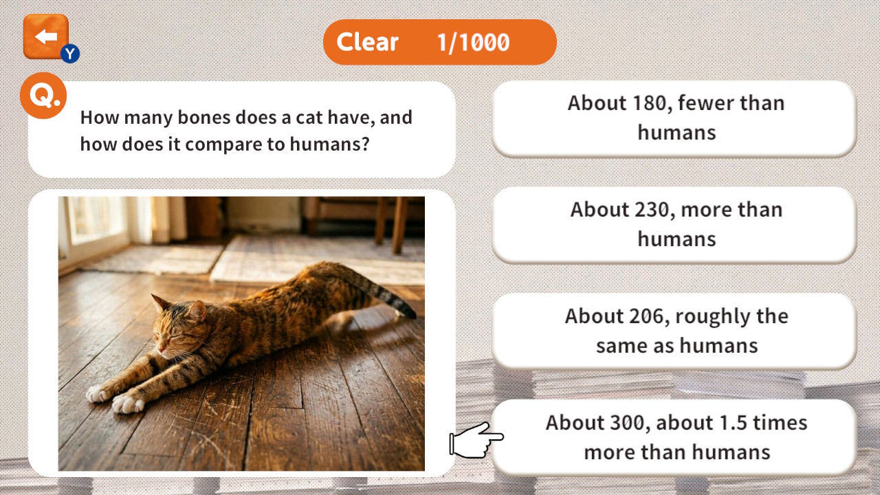 1000 Questions to Be Chosen by the Cat Lord