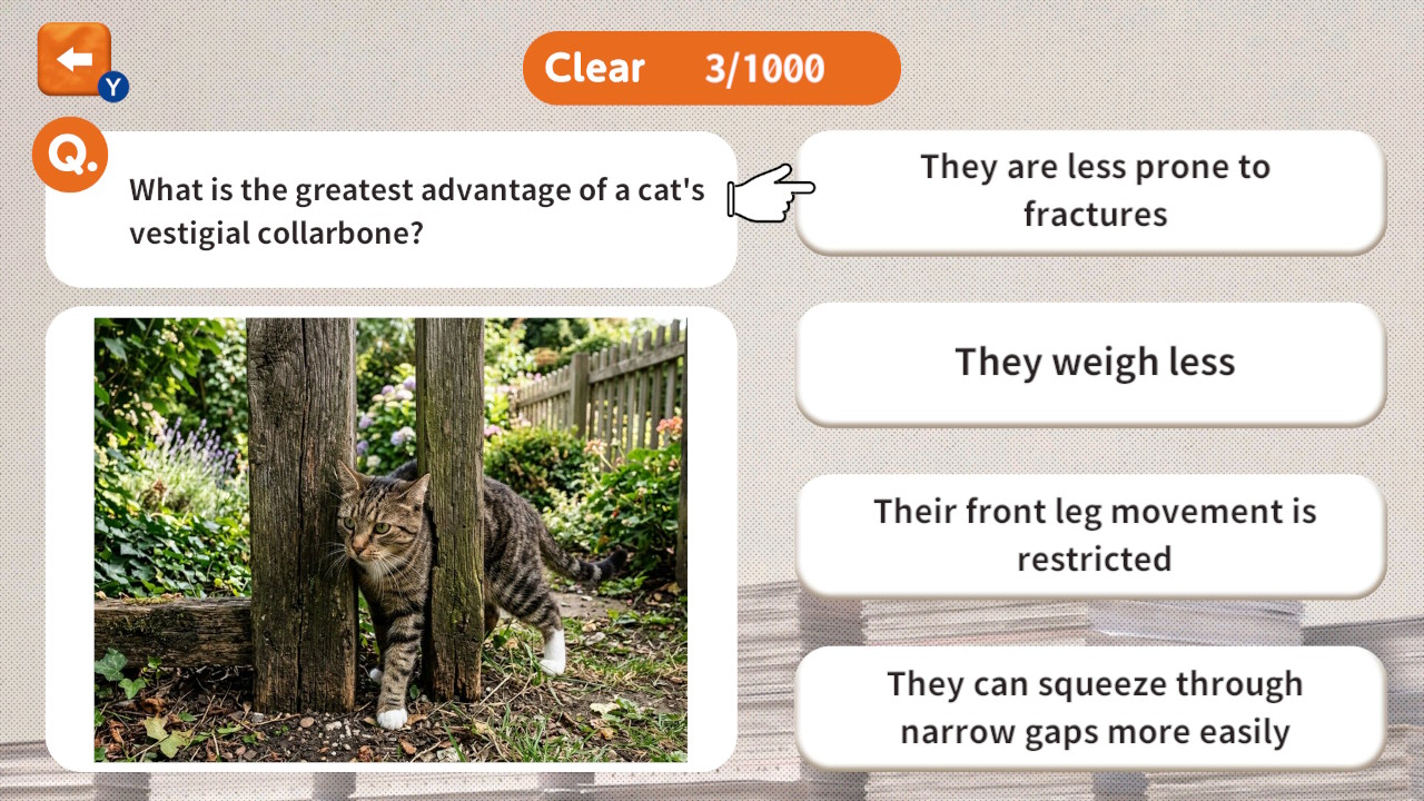 1000 Questions to Be Chosen by the Cat Lord