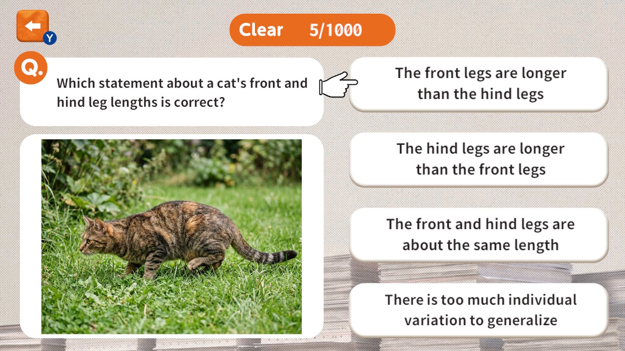 1000 Questions to Be Chosen by the Cat Lord