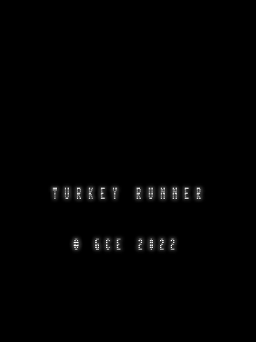 Turkey Runner