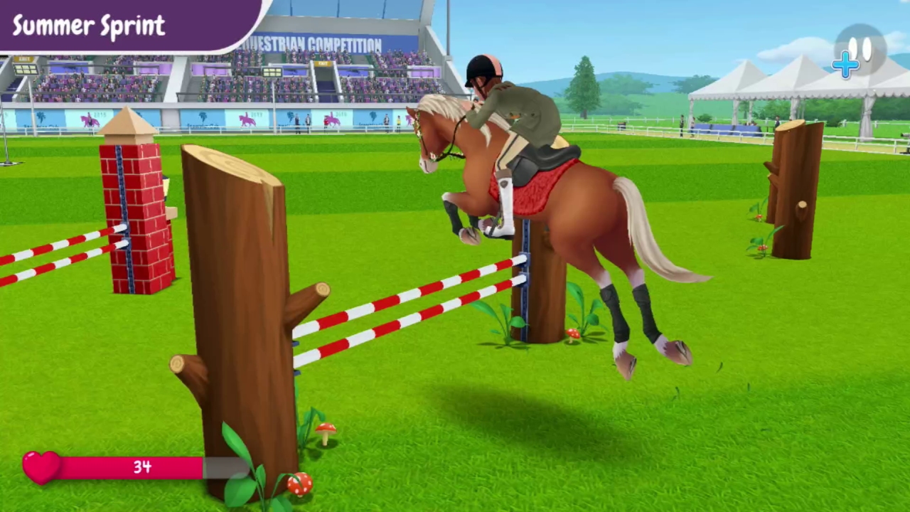 My Horse Stories: Stylish Edition