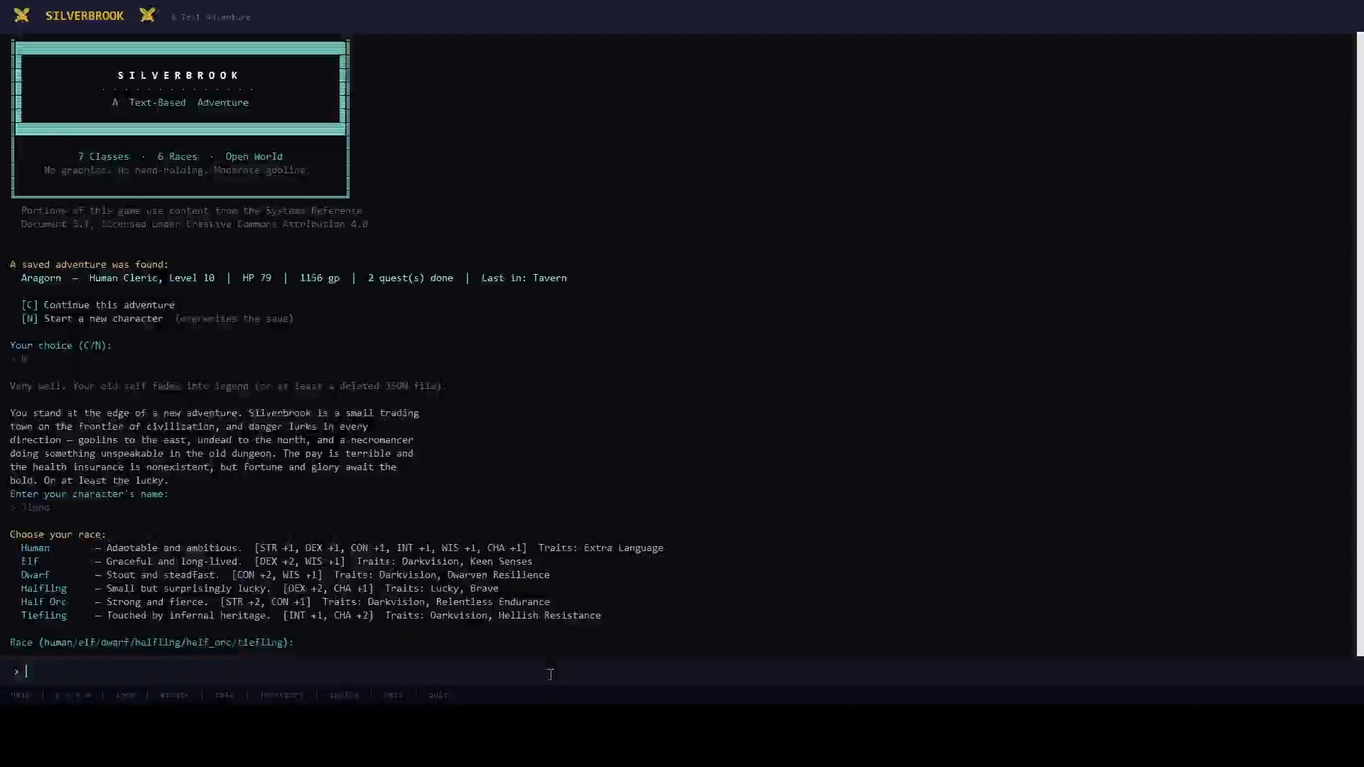 Silverbrook: a Text-Based RPG