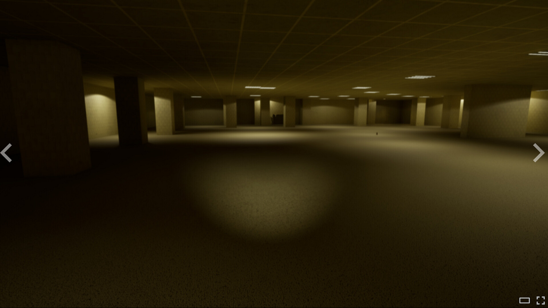 Trapped in the Backrooms