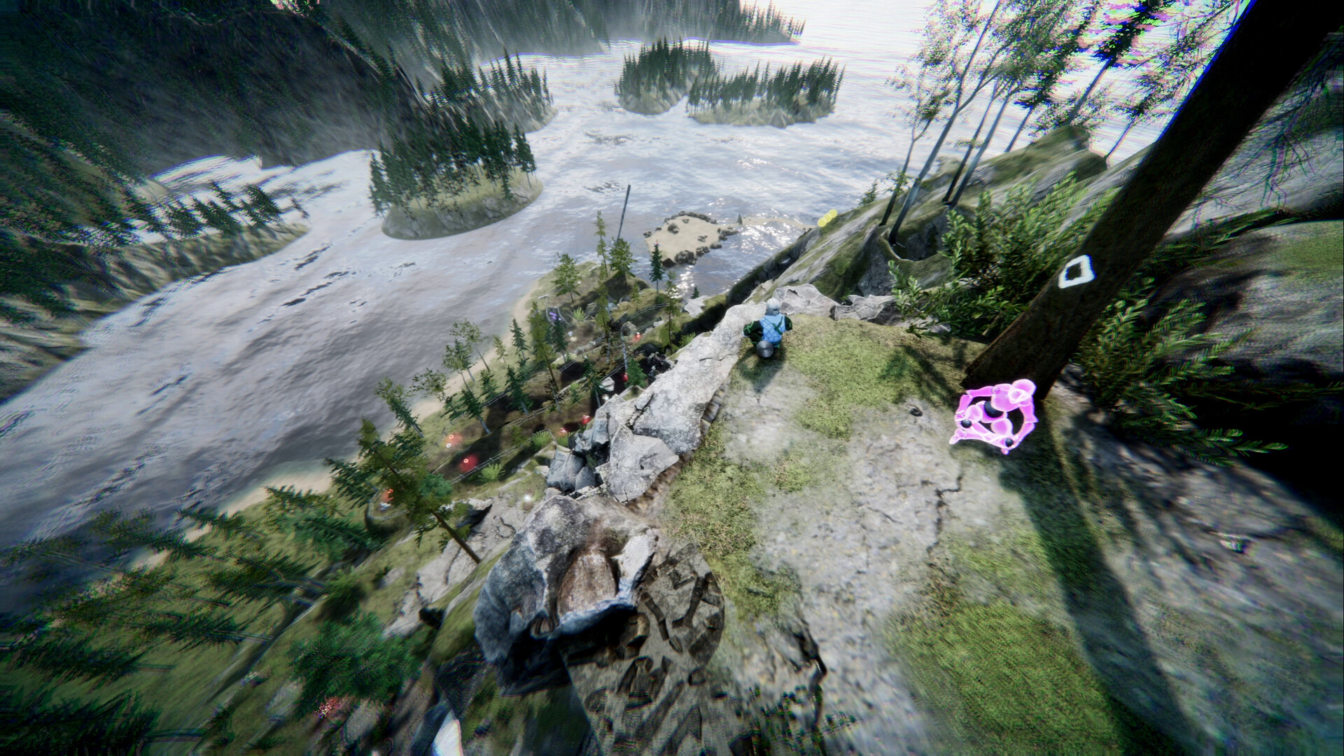 Vision Quest: A New Ascent