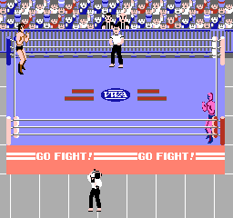 Pro Wrestling