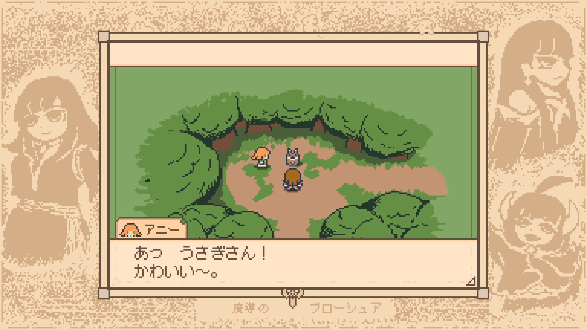 Wiz Brochure