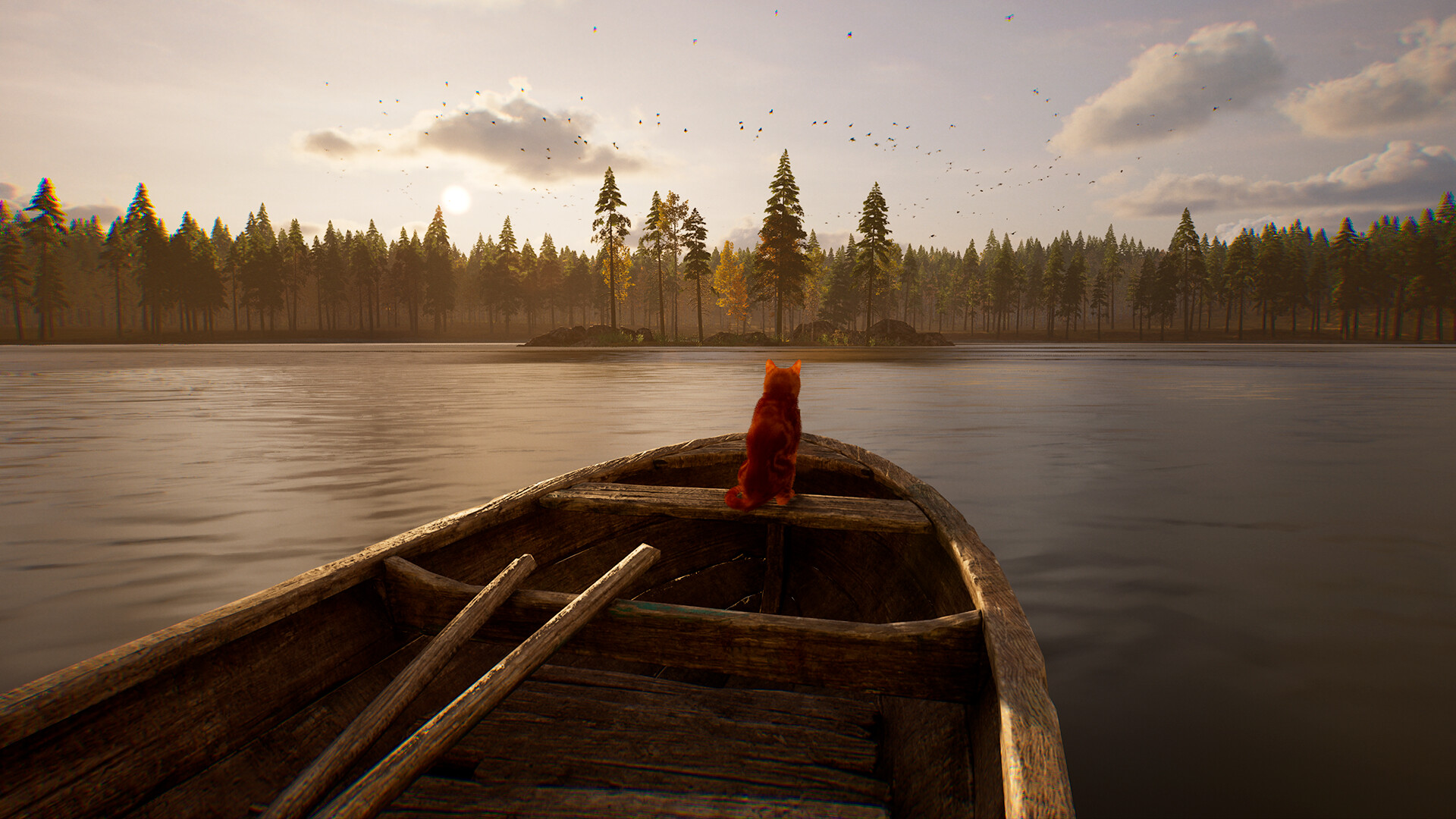 The Life You Missed