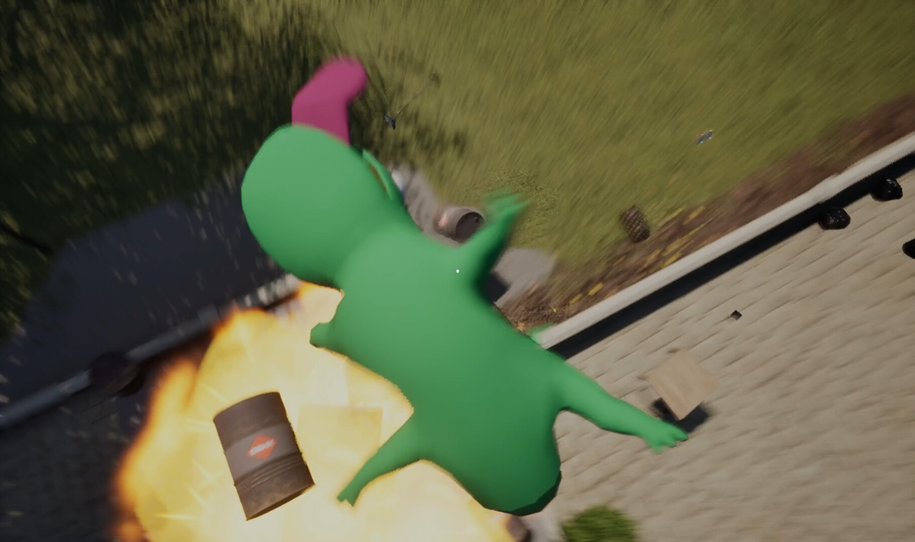 Lizard Simulator