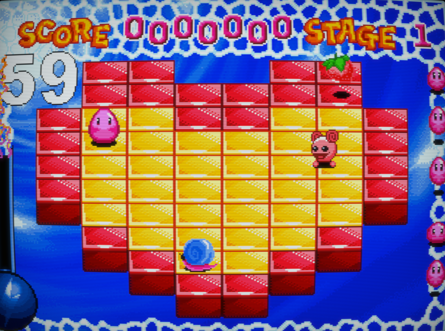 Magic Jelly