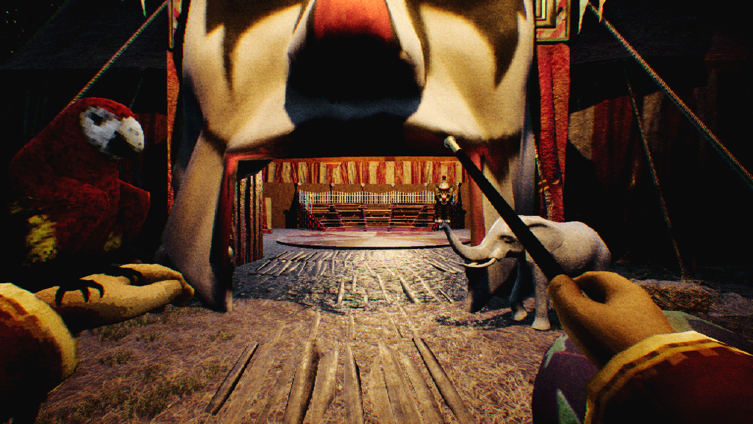 At Night : Freakshow