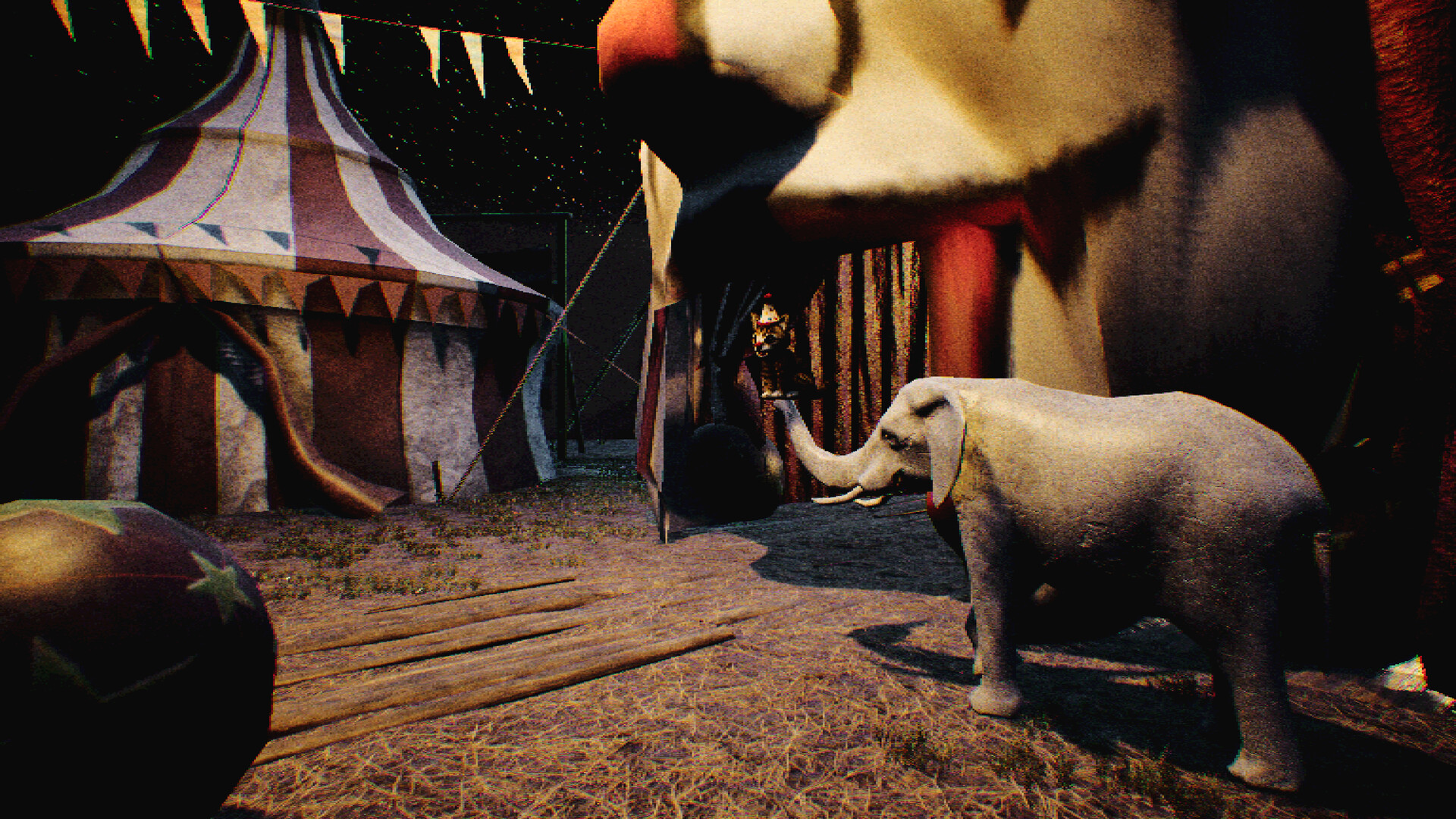 At Night : Freakshow