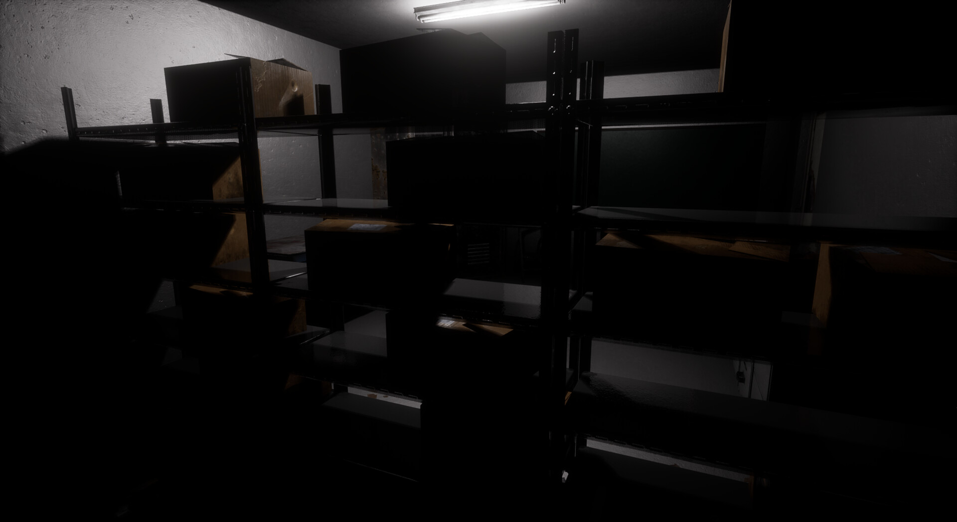 The Confined: Basement