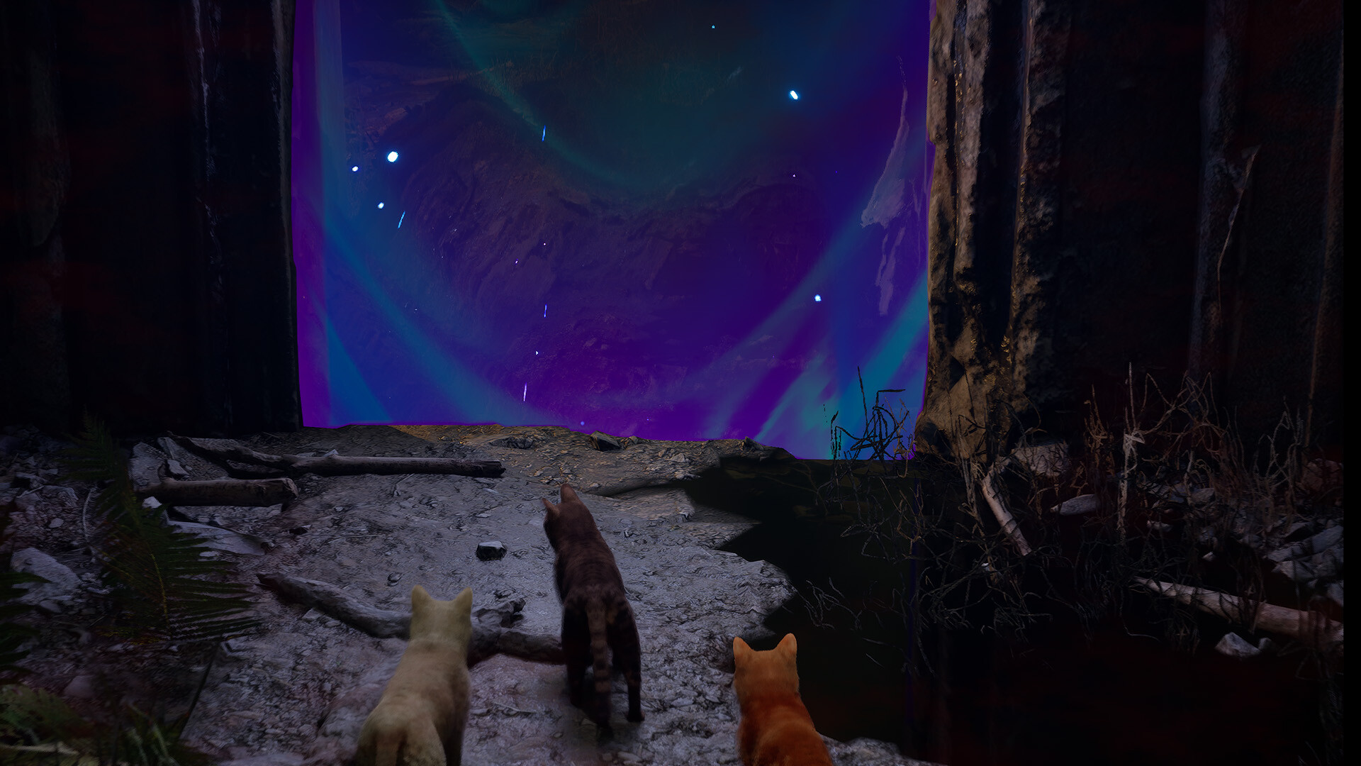 Meowmories