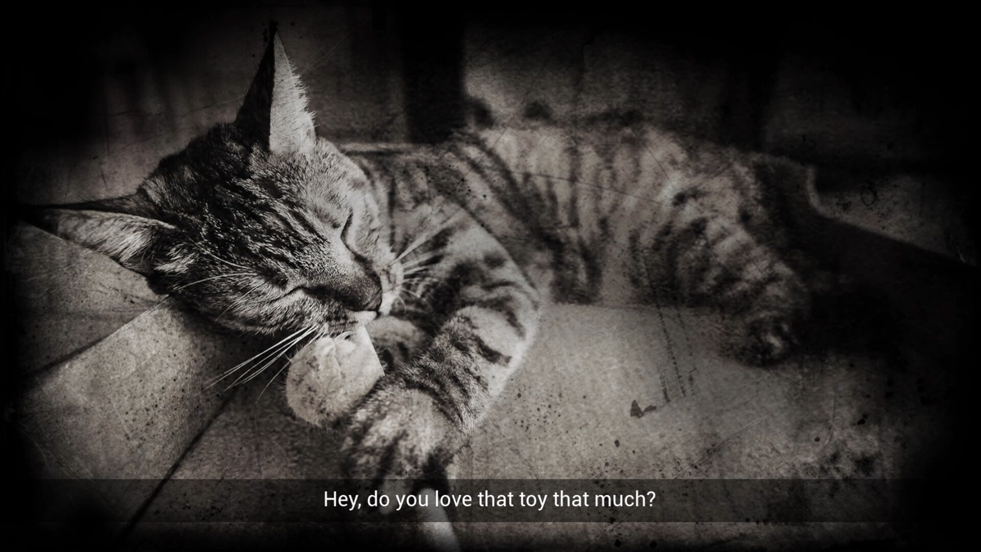 Meowmories