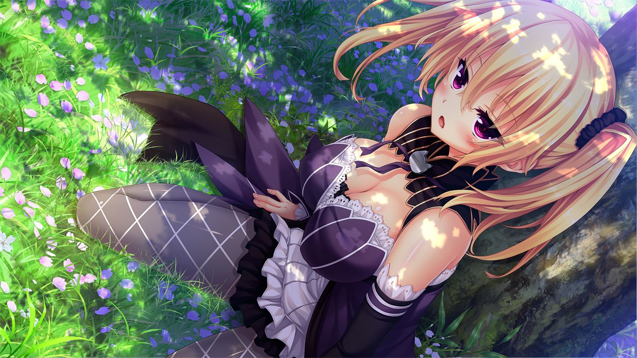 Nora to Oujo to Noraneko Heart HD Version