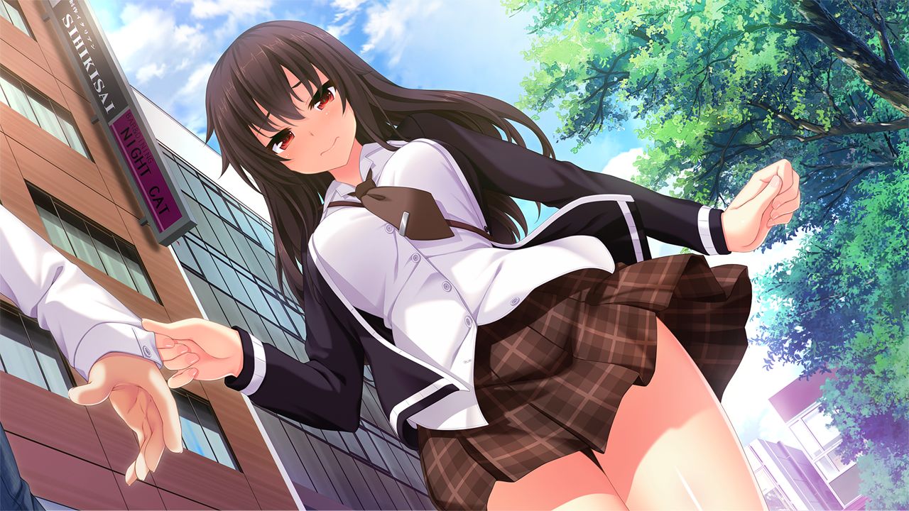 Nora to Oujo to Noraneko Heart HD Version