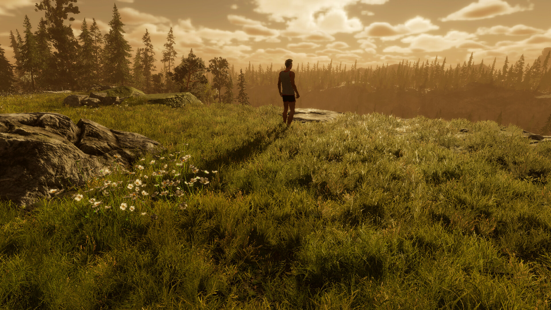 Exploring the Endless Land: 60s