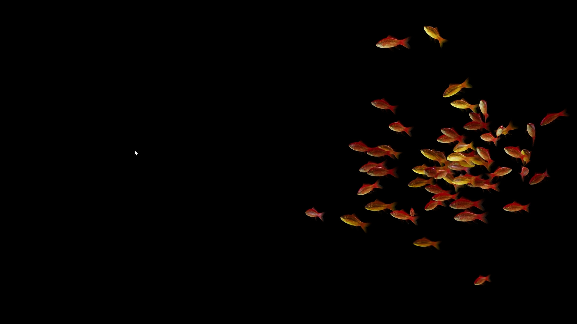 Goldfish Simulator