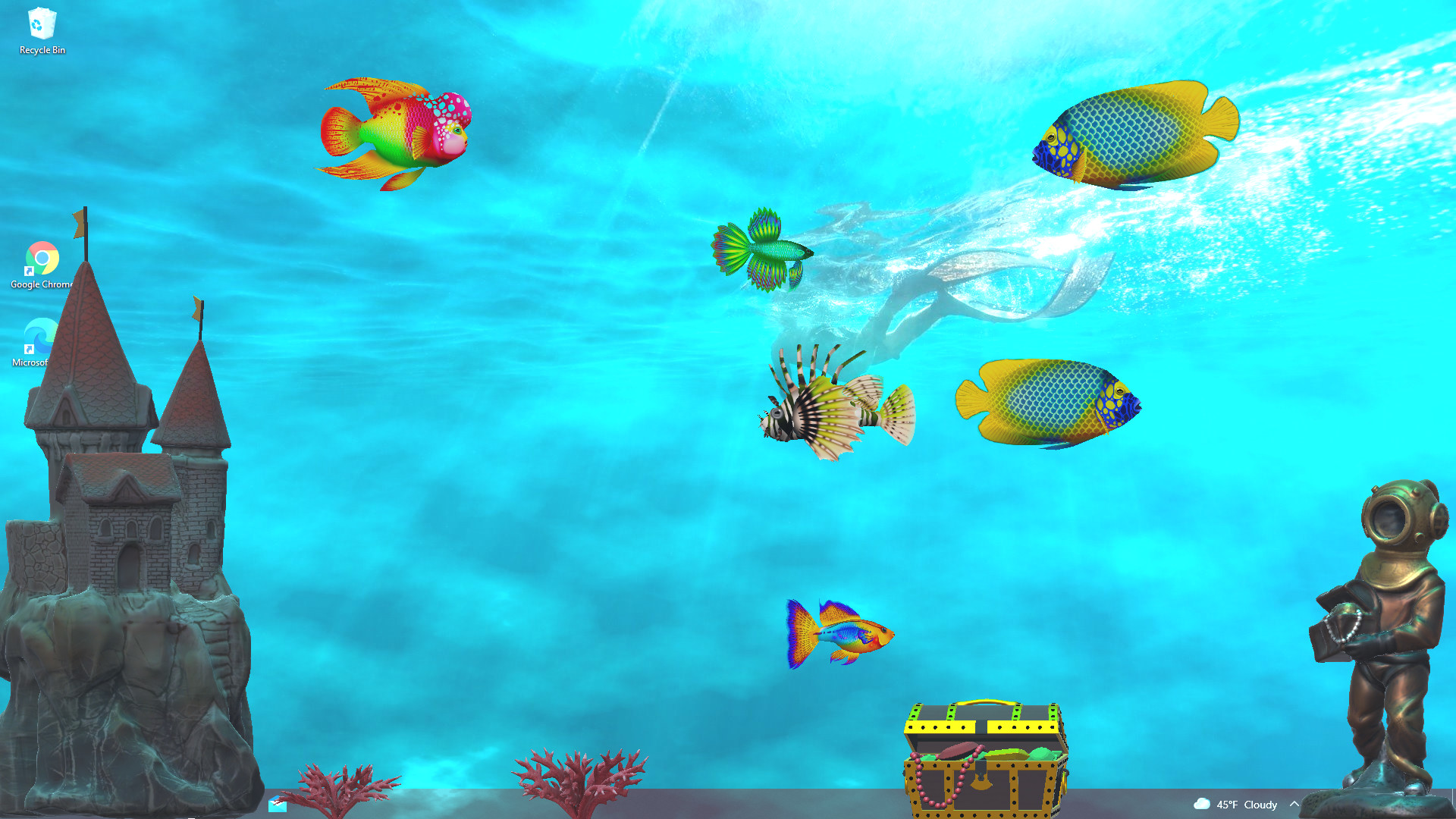 Virtual Aquarium