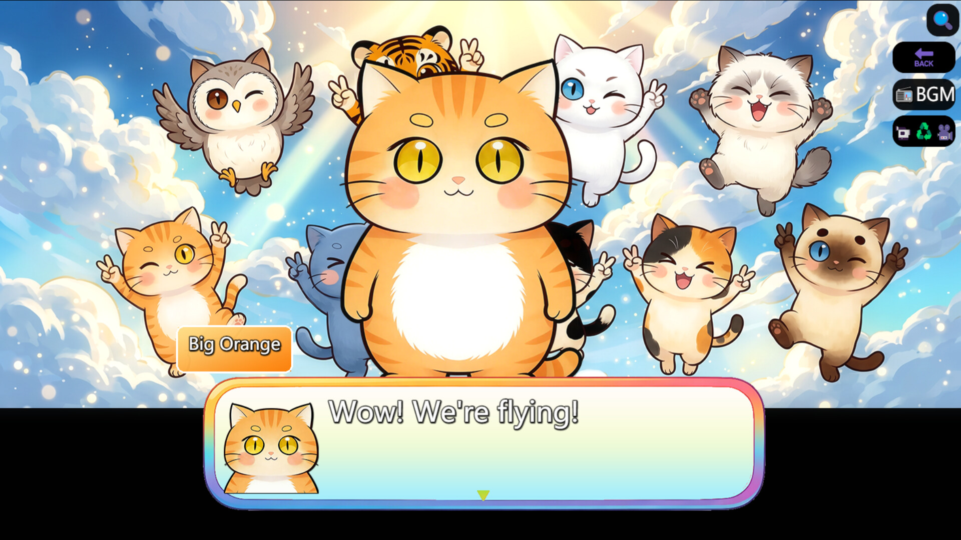 Cats’ World