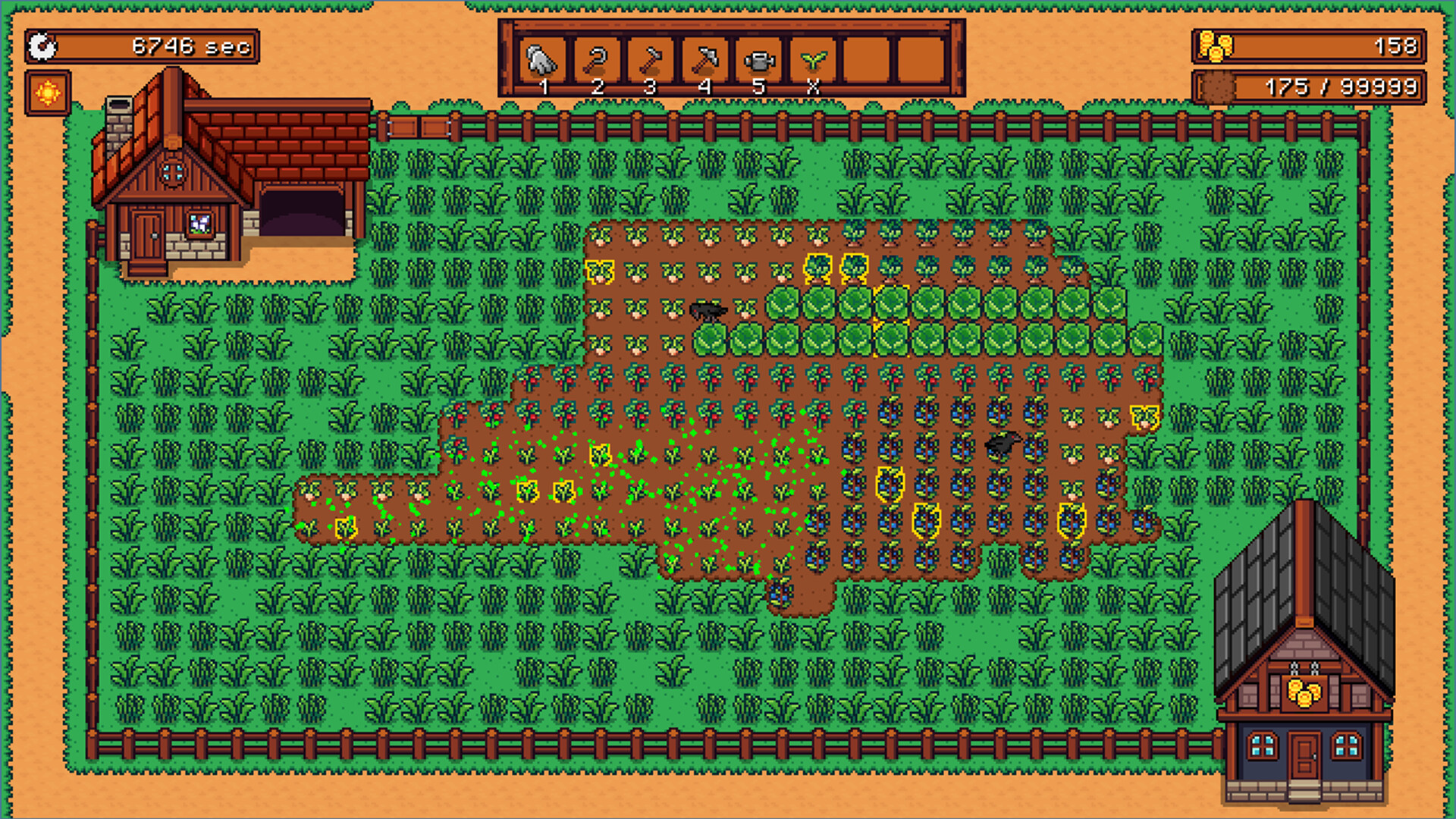 Capy Farm