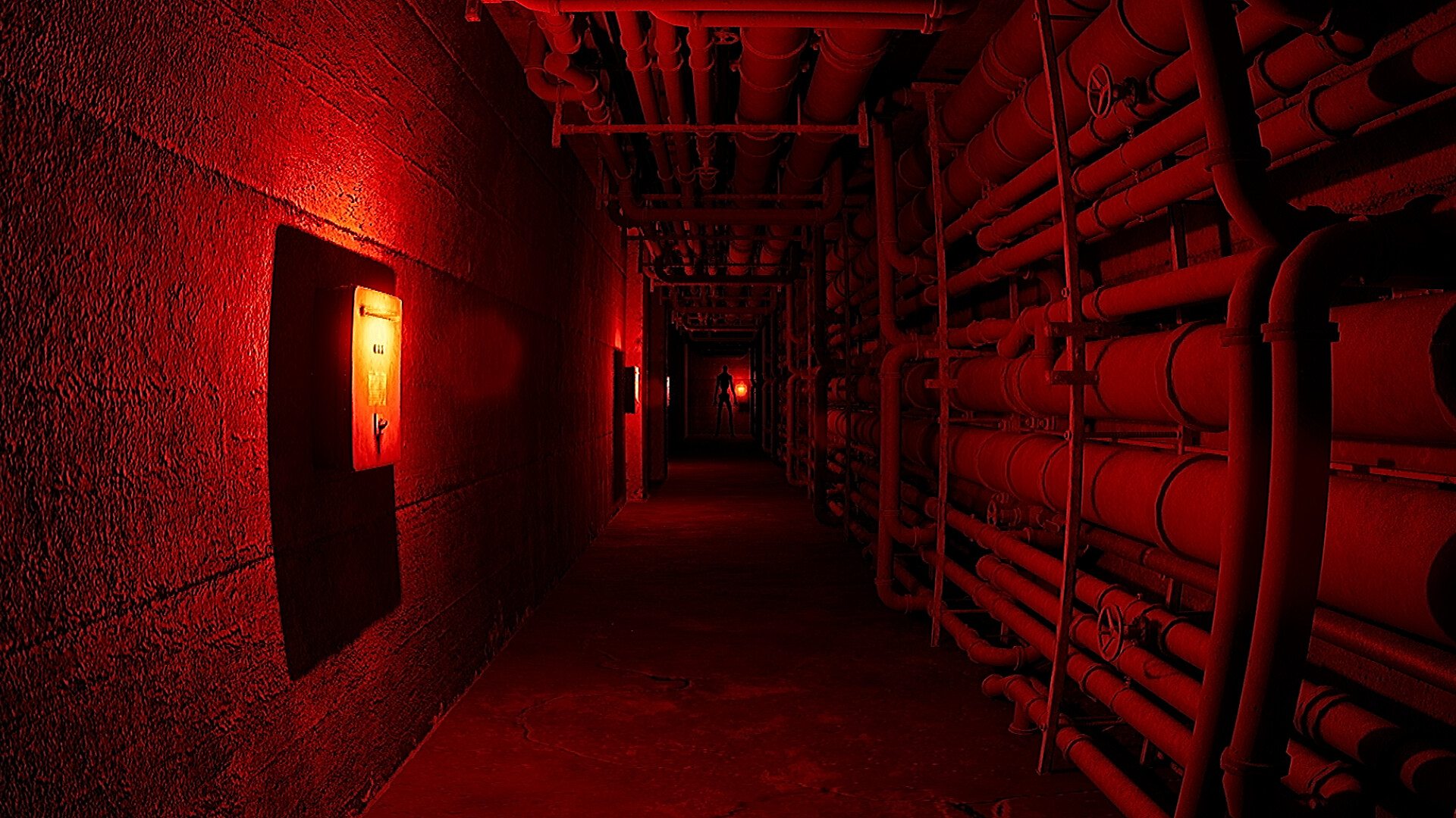 Backrooms Protocol