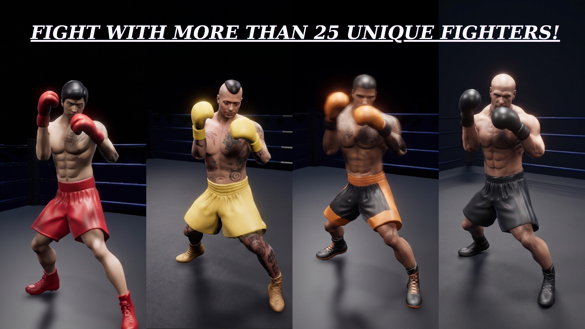 Boxing Life Simulator