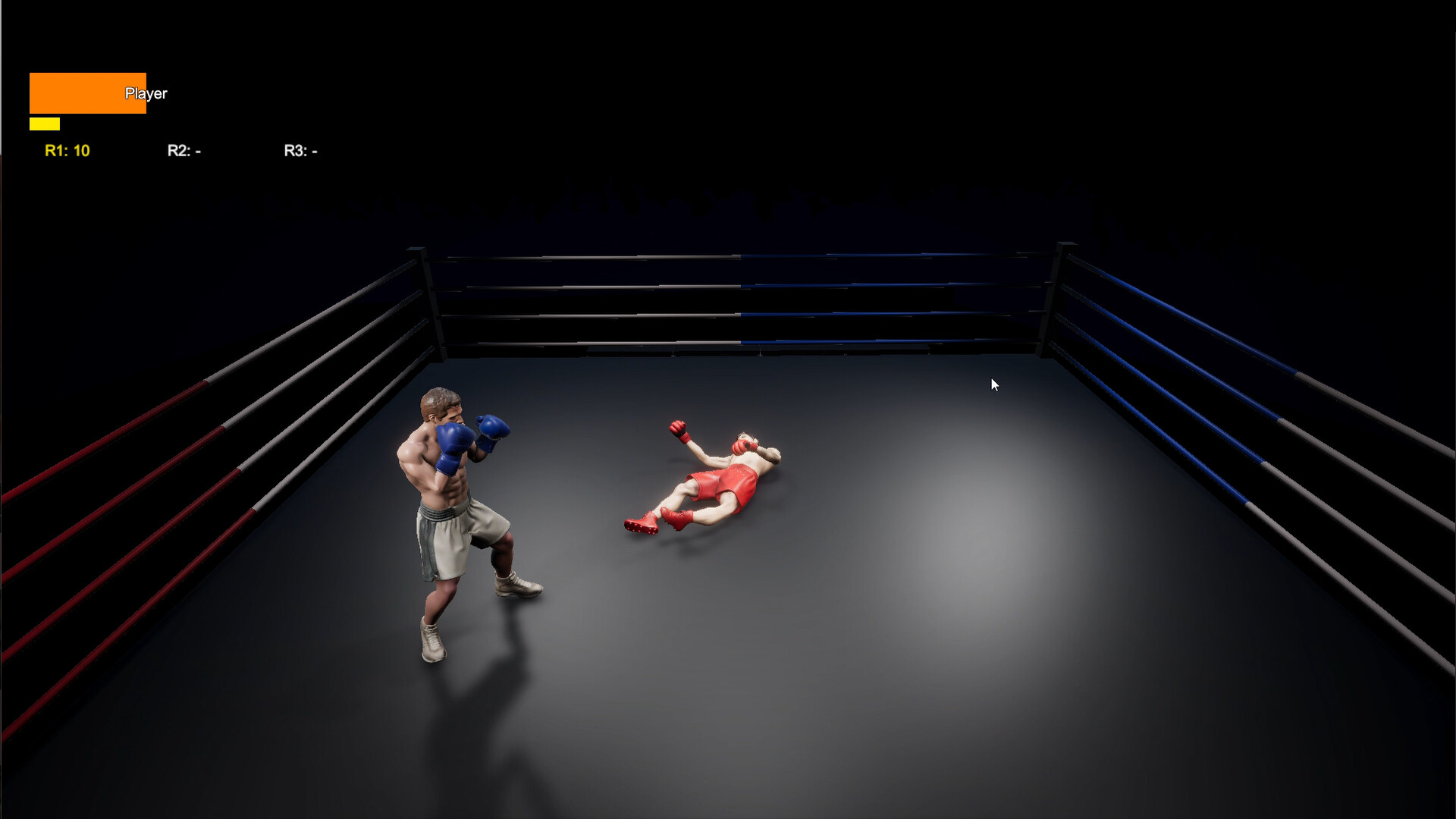 Boxing Life Simulator