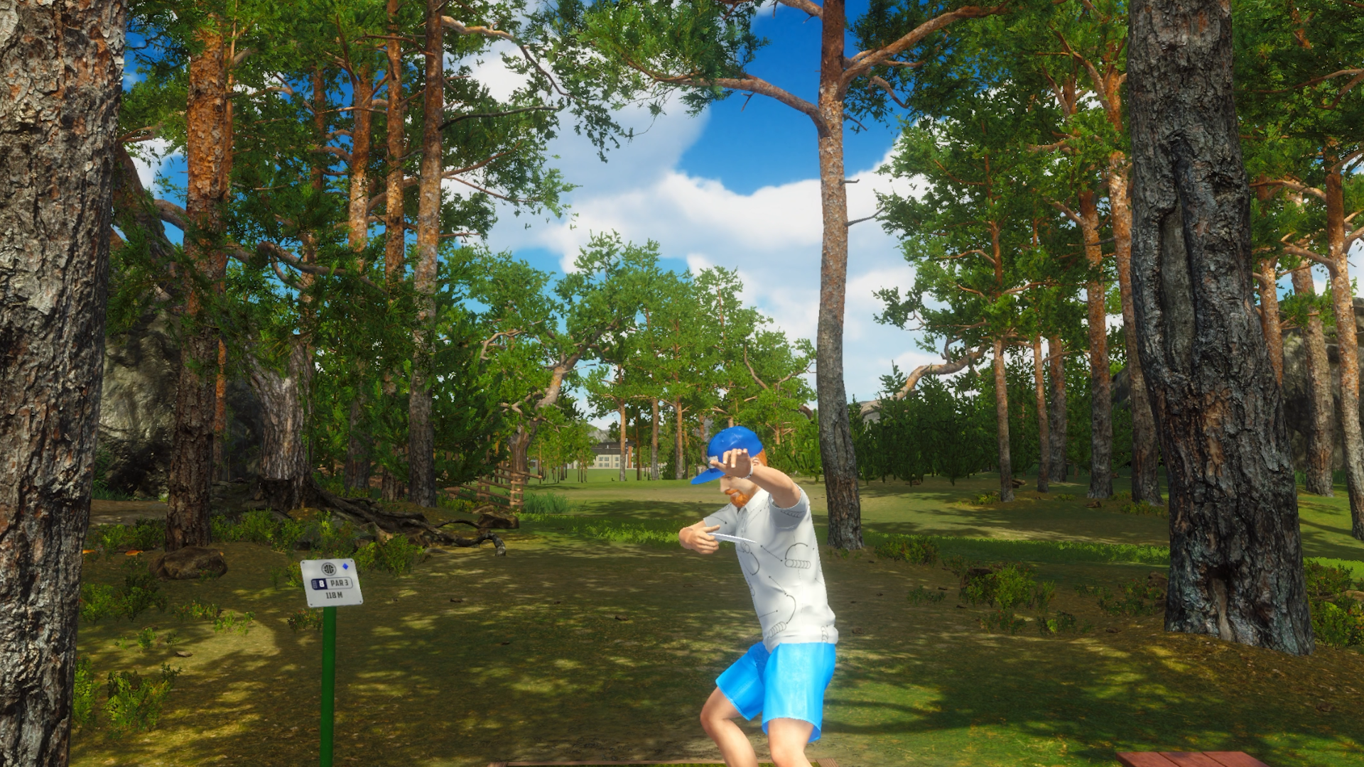 Disc Golf Masters