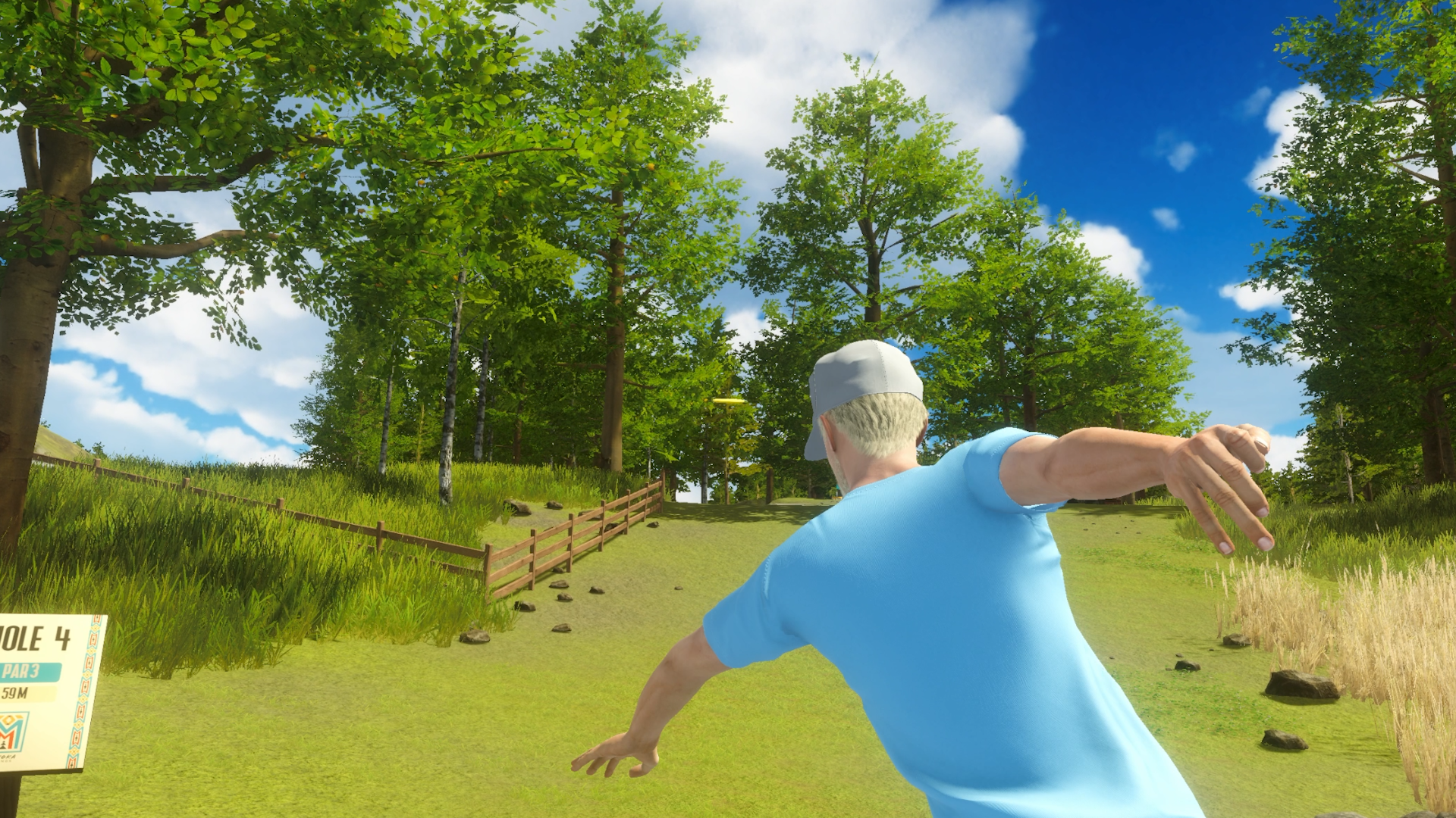 Disc Golf Masters
