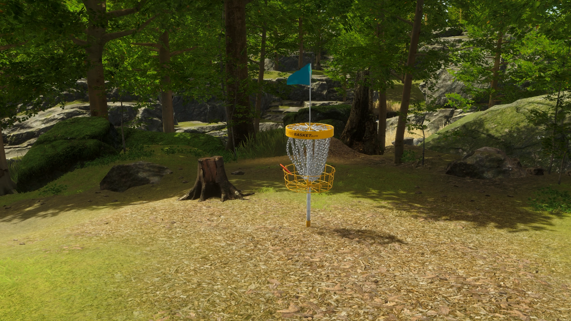 Disc Golf Masters