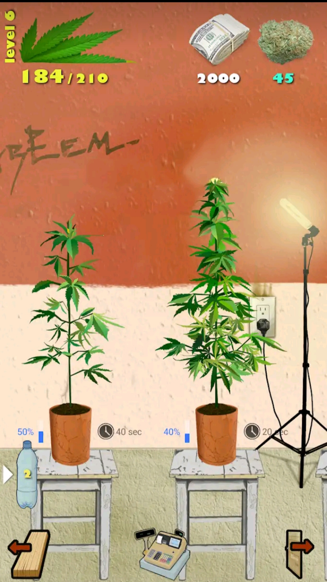 Weed Firm: Replanted