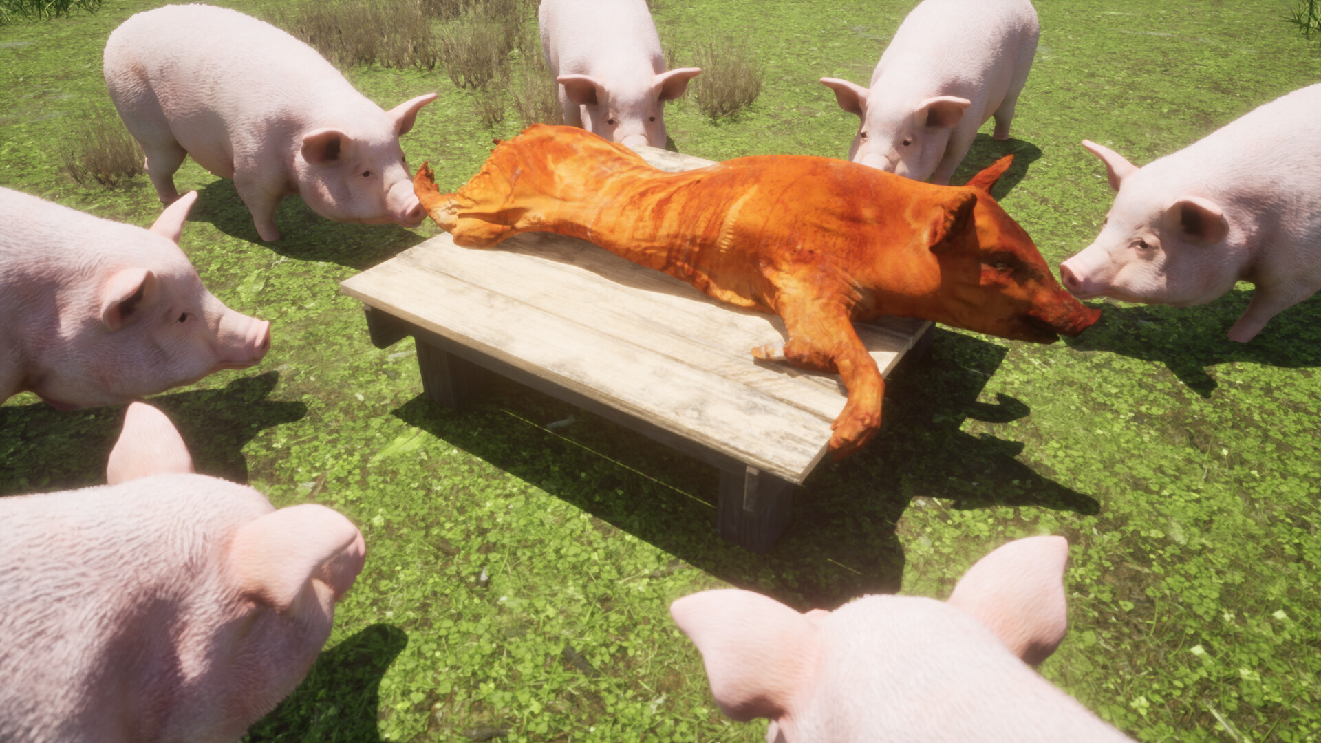 Piggy Only Up