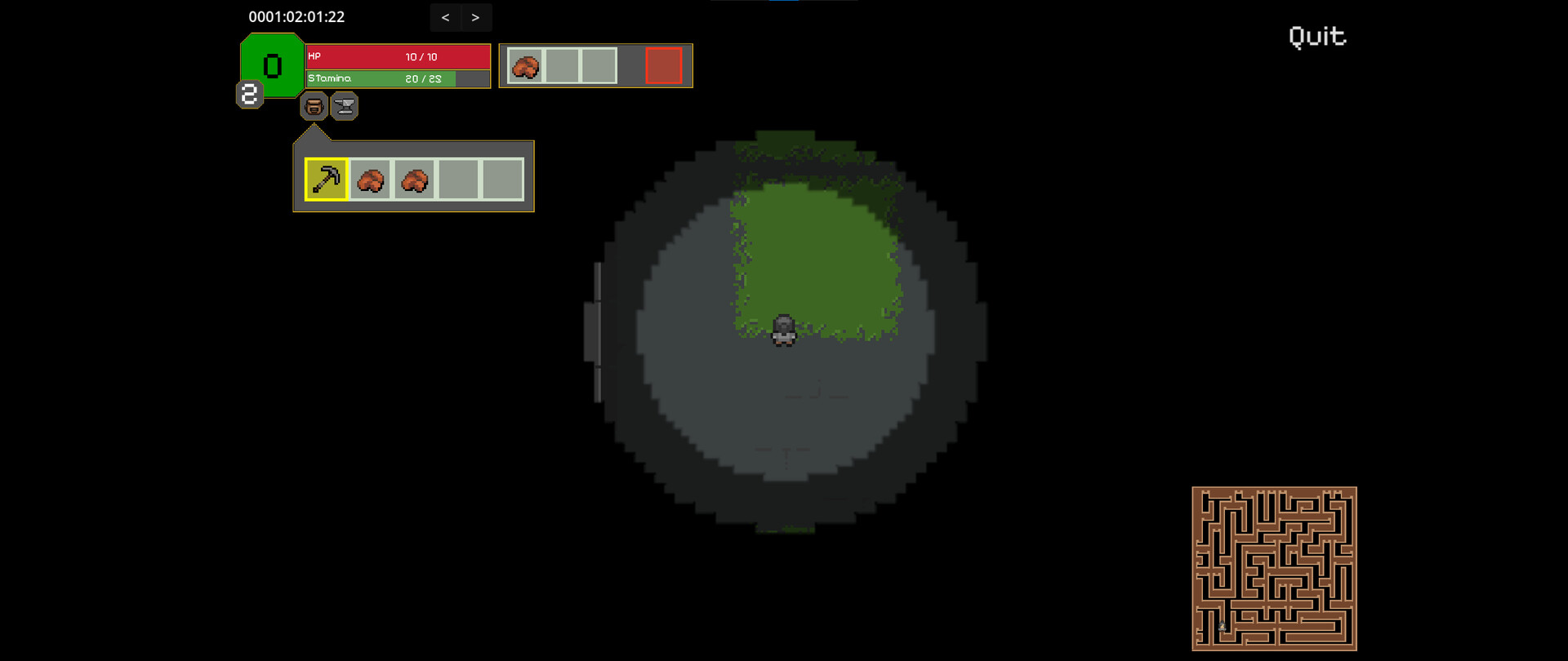 Maze Survivor
