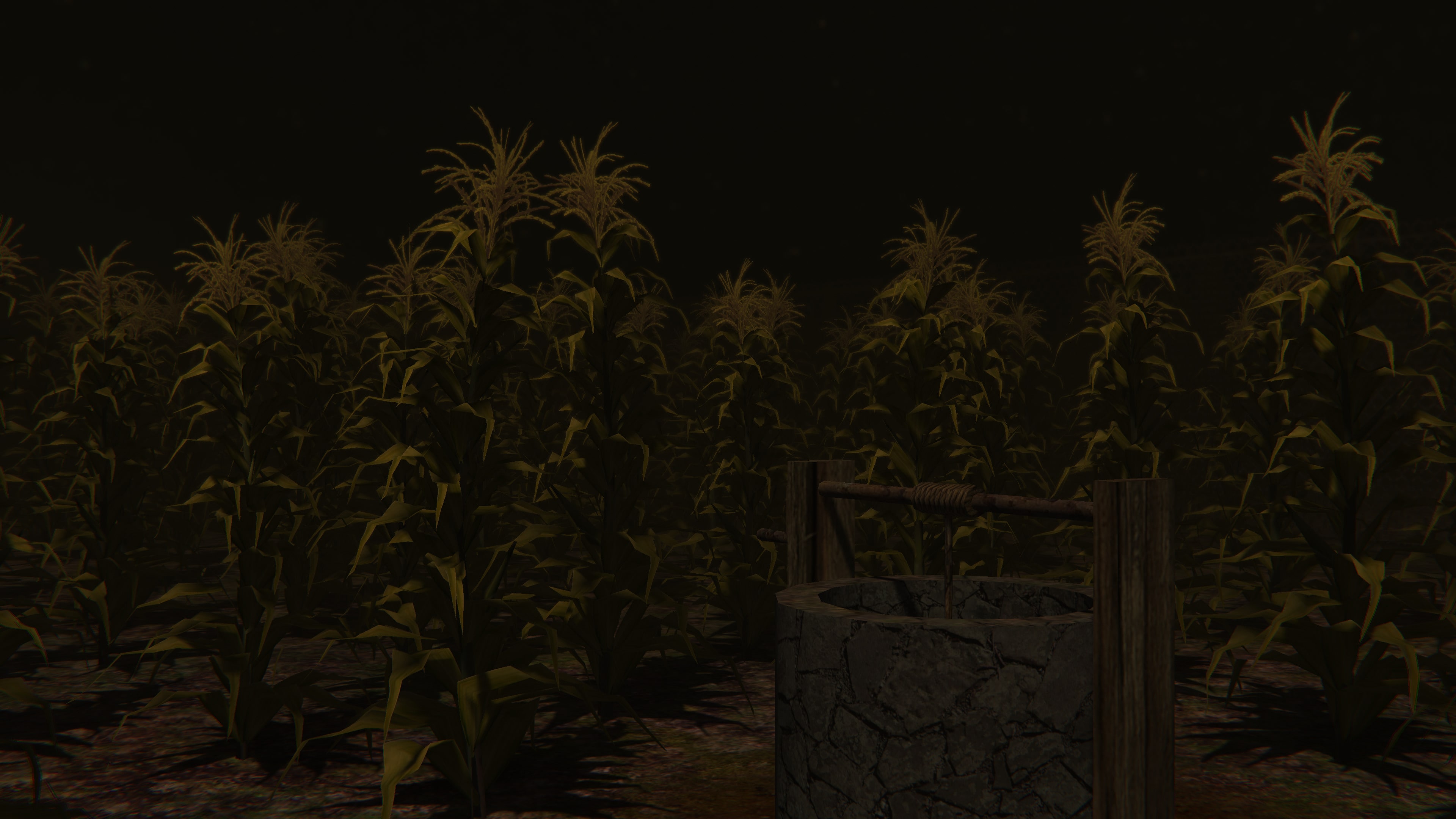 Cornfield