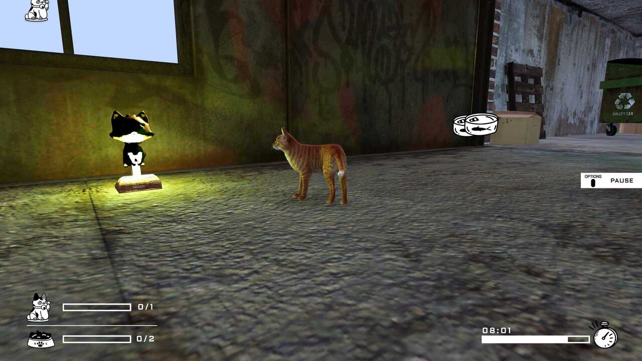 Tinny Strays