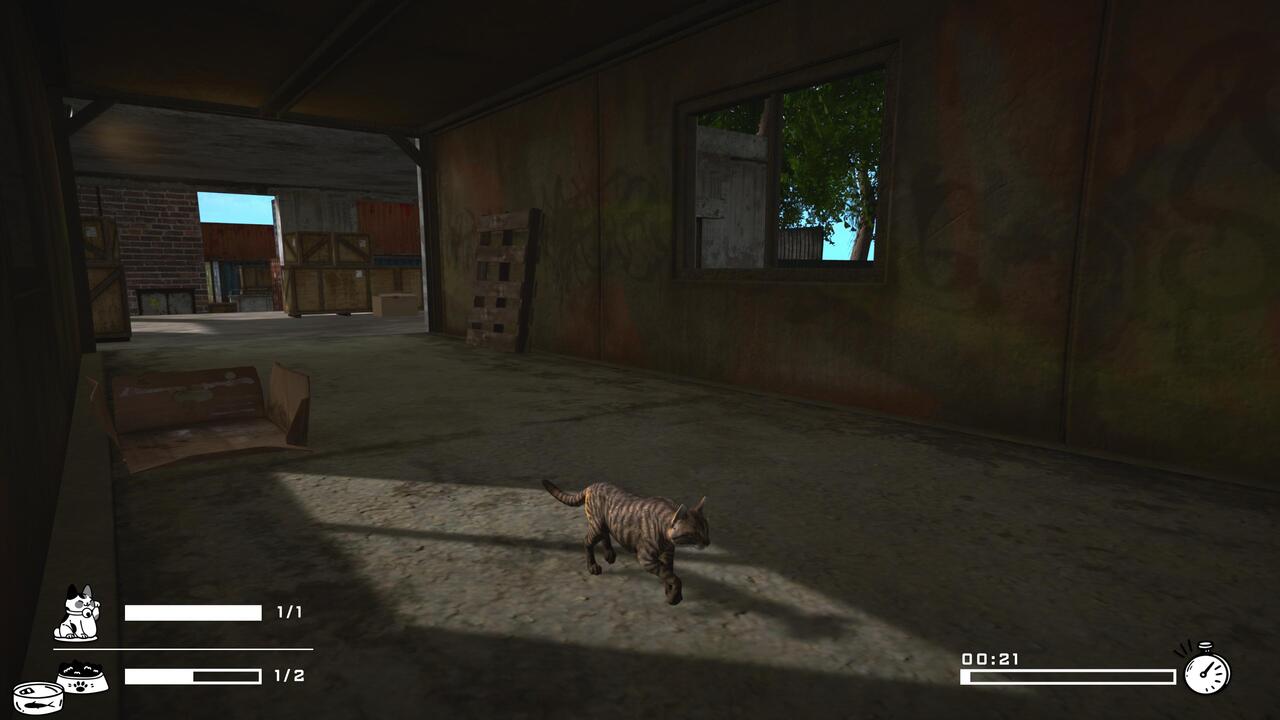 Tinny Strays