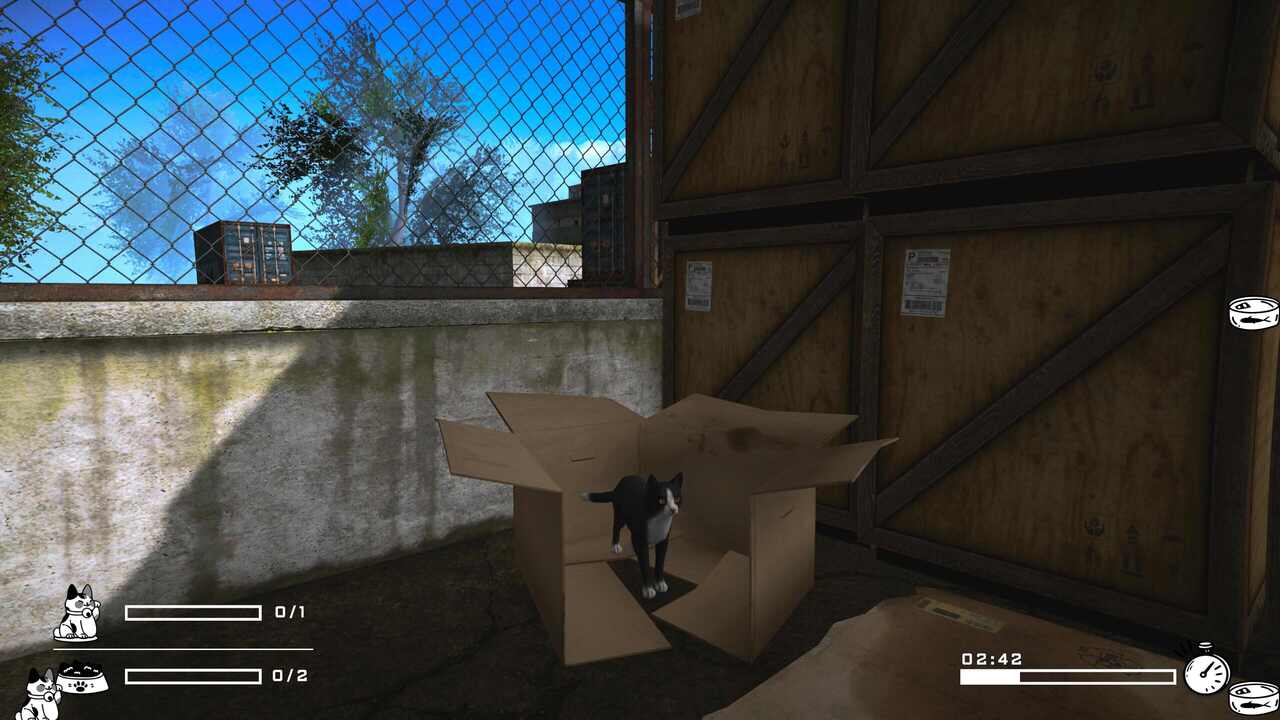 Tinny Strays