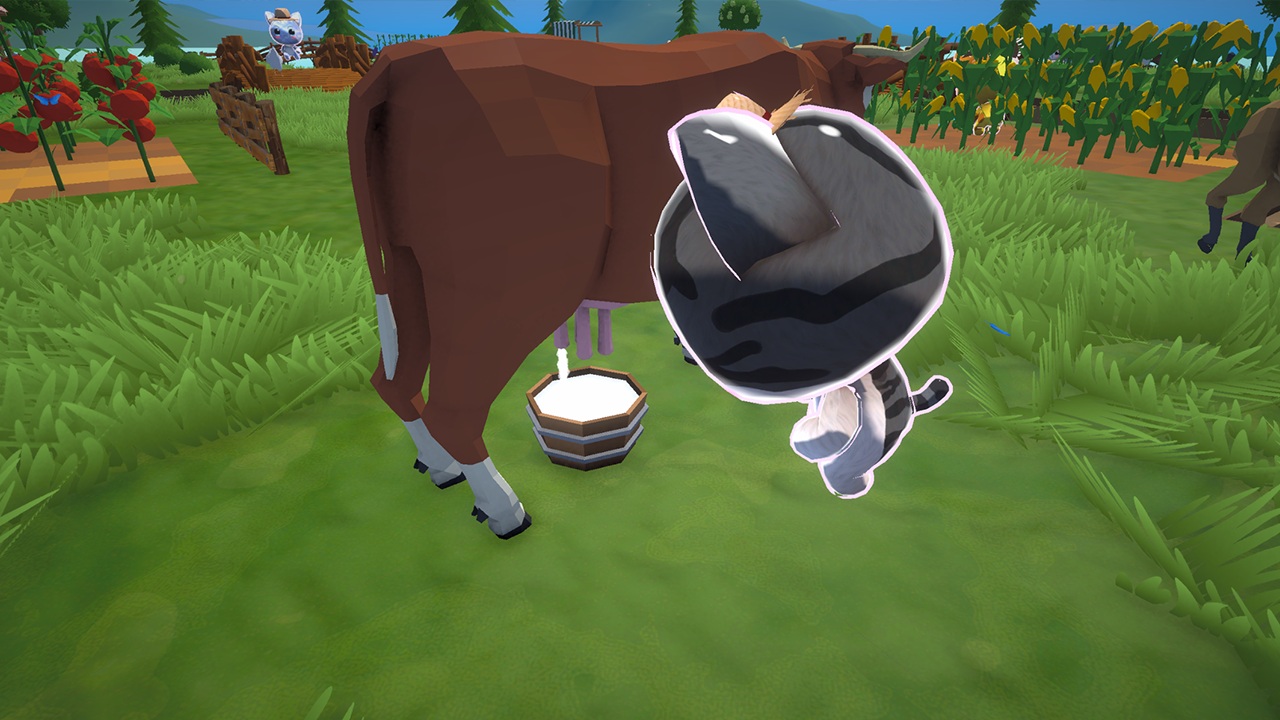 Kitty Farm Island