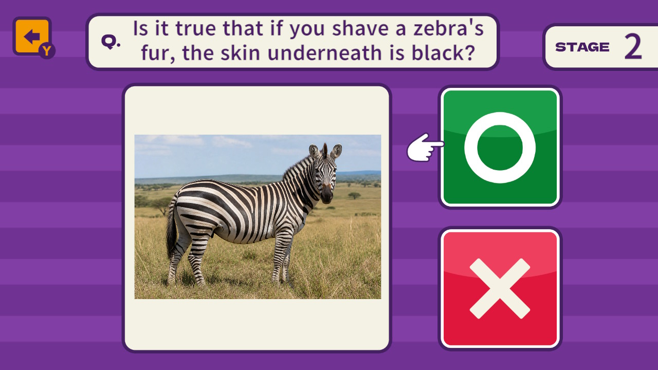 One Question and You’ll Want to Share It! 1000 Trivia Quiz Questions