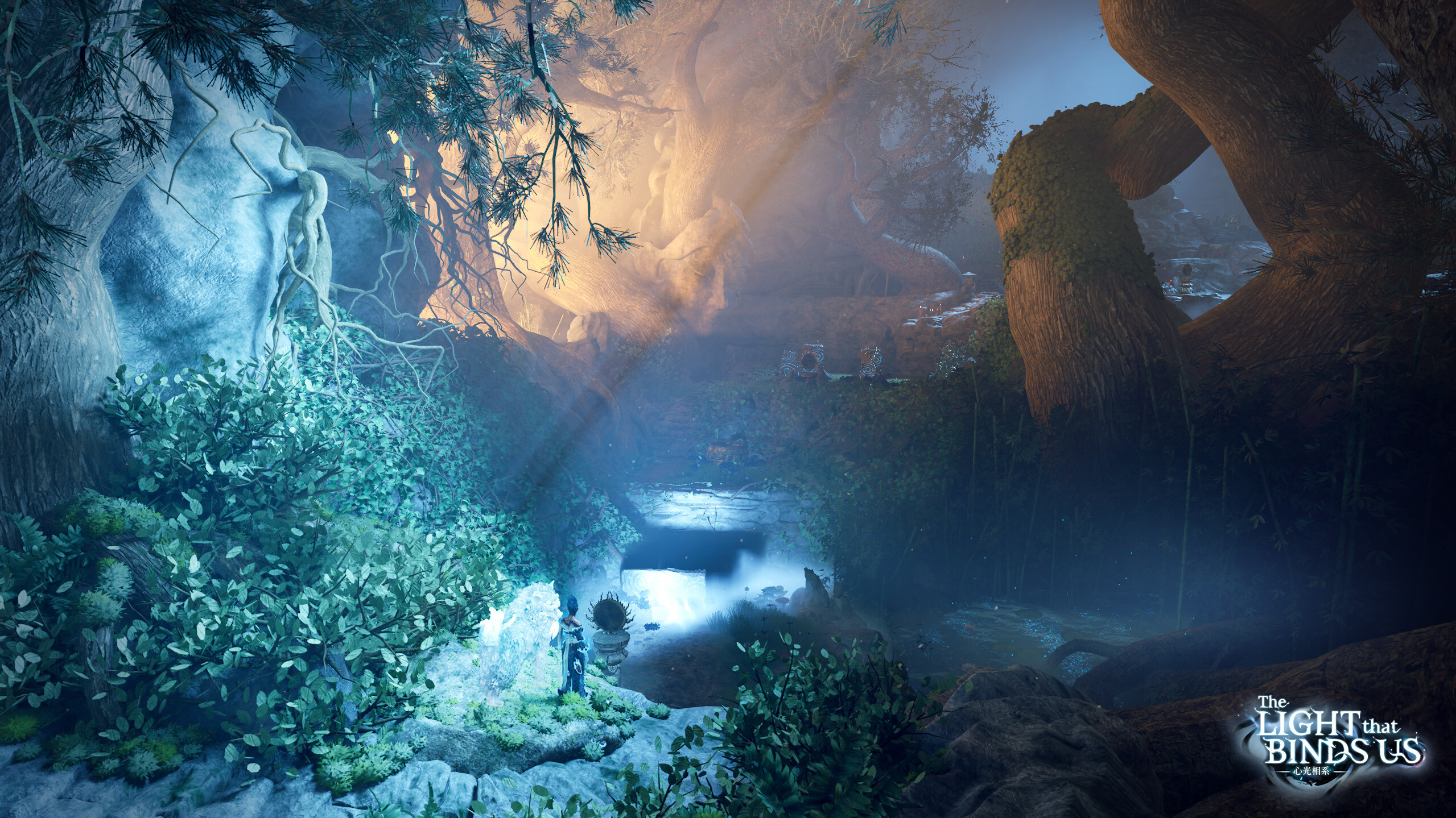 The Light That Binds Us
