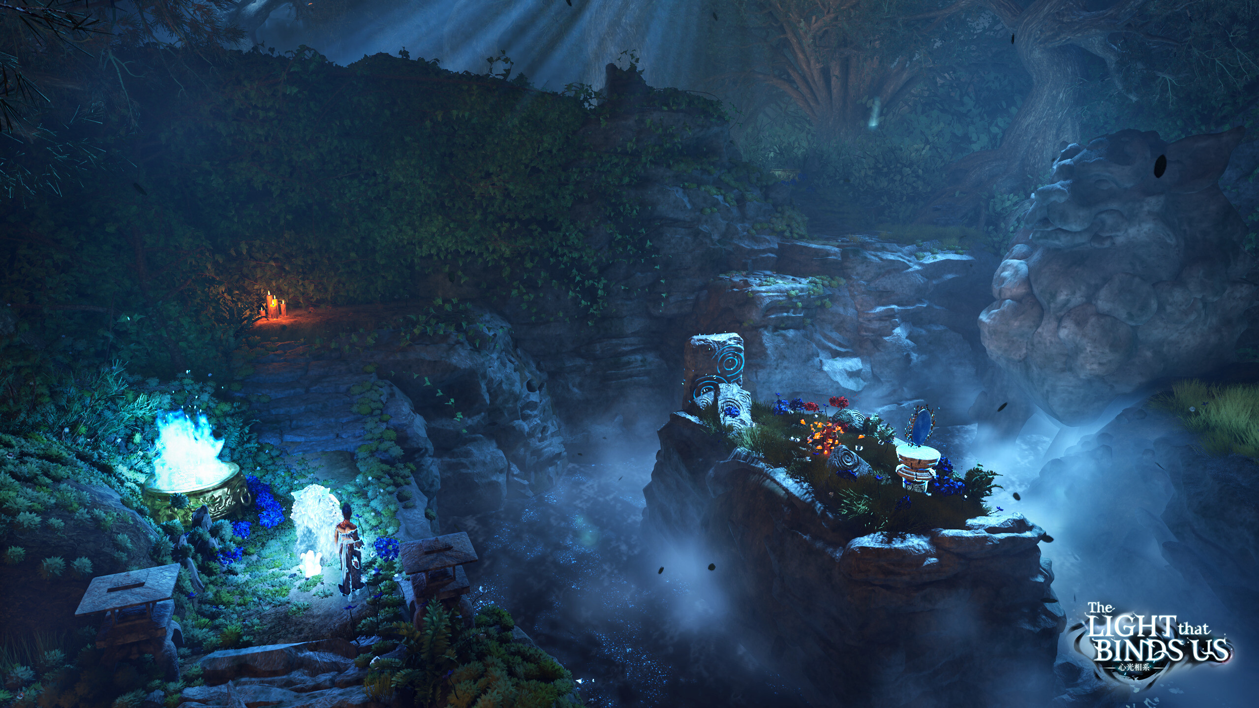 The Light That Binds Us
