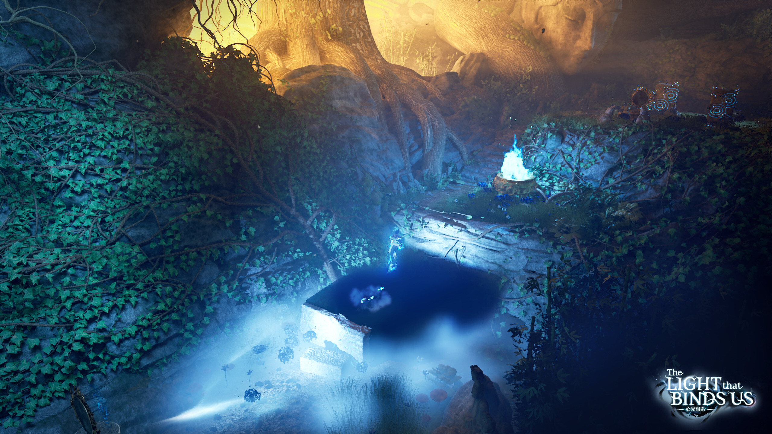 The Light That Binds Us